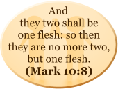 And they two shall be one flesh: so then they are no more two, but one flesh. (Mark 10:8)
